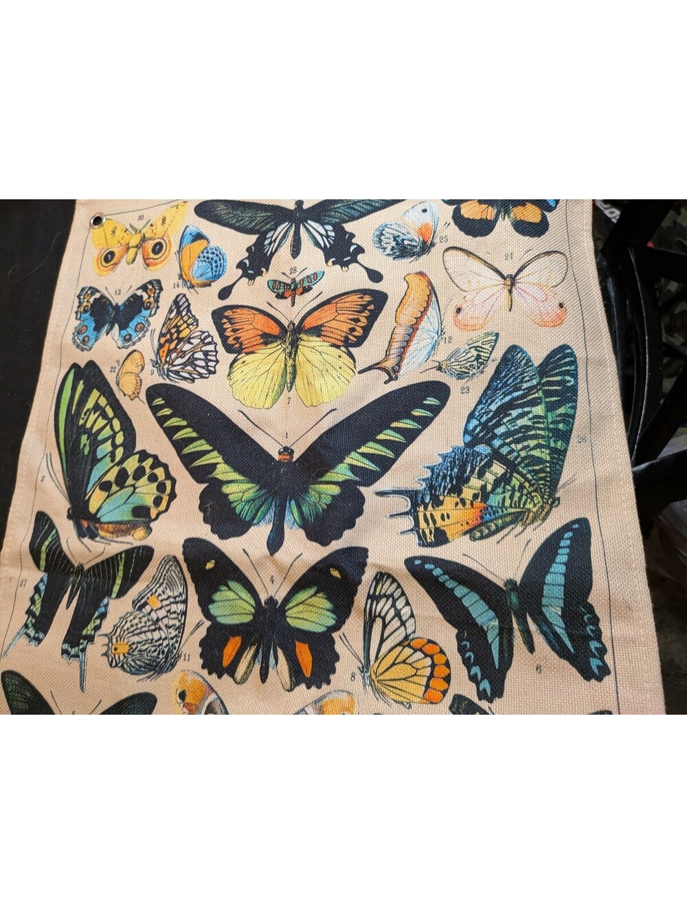 Butterfly Specimen Print Fabric Wall Hanging Panel with Grommets